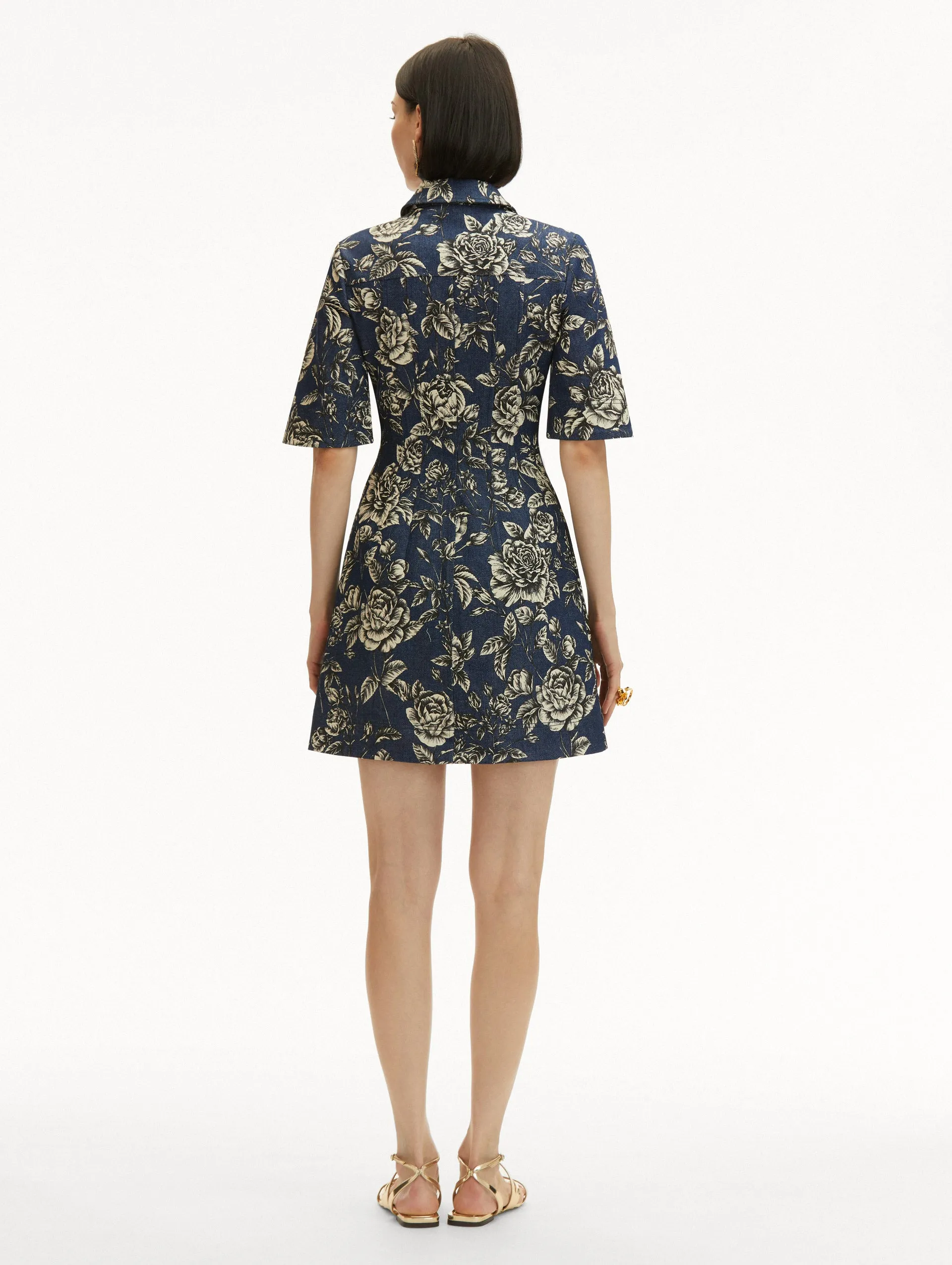 Rose Printed Denim Mini Dress