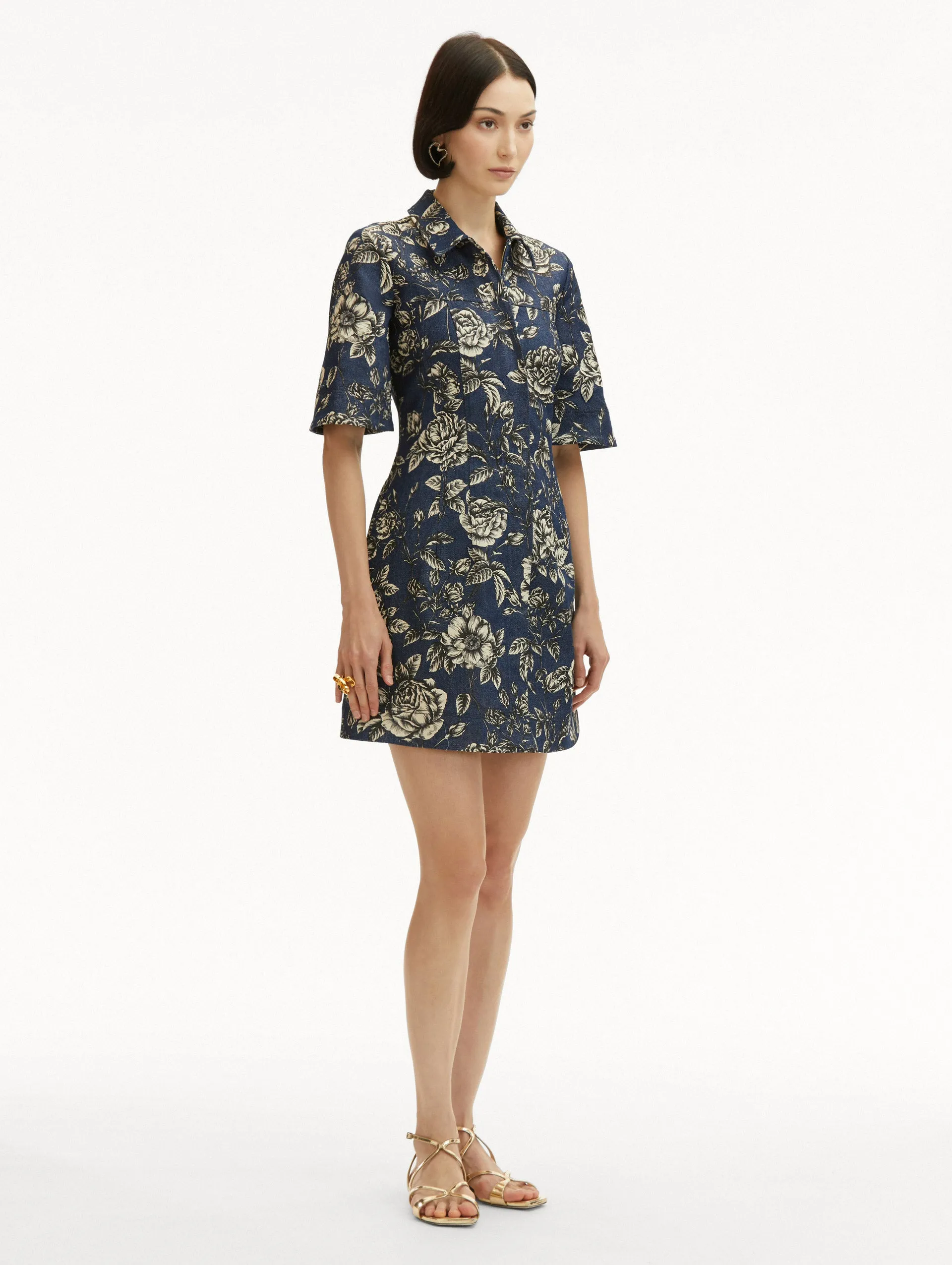 Rose Printed Denim Mini Dress