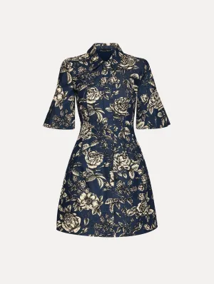 Rose Printed Denim Mini Dress