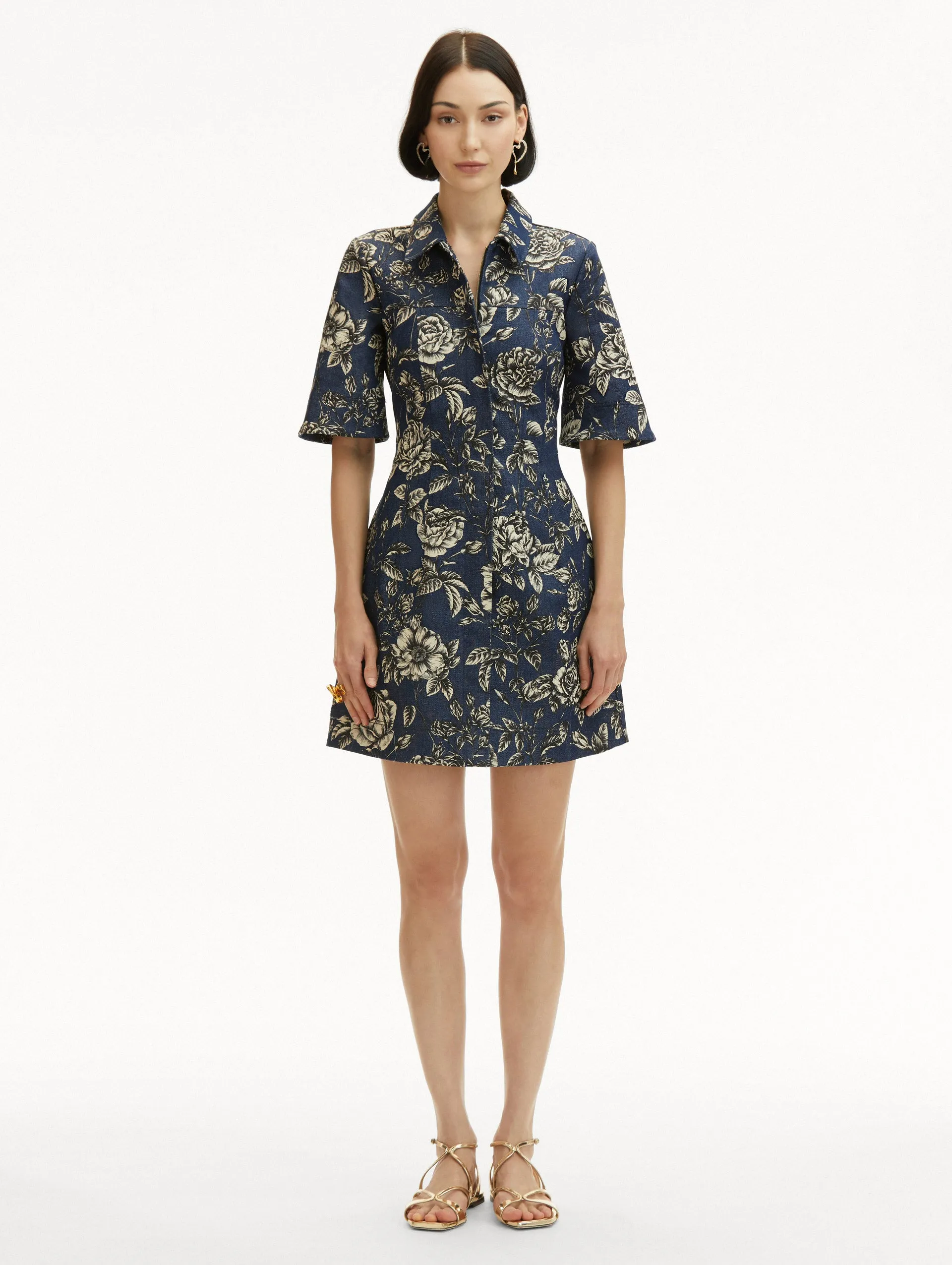 Rose Printed Denim Mini Dress